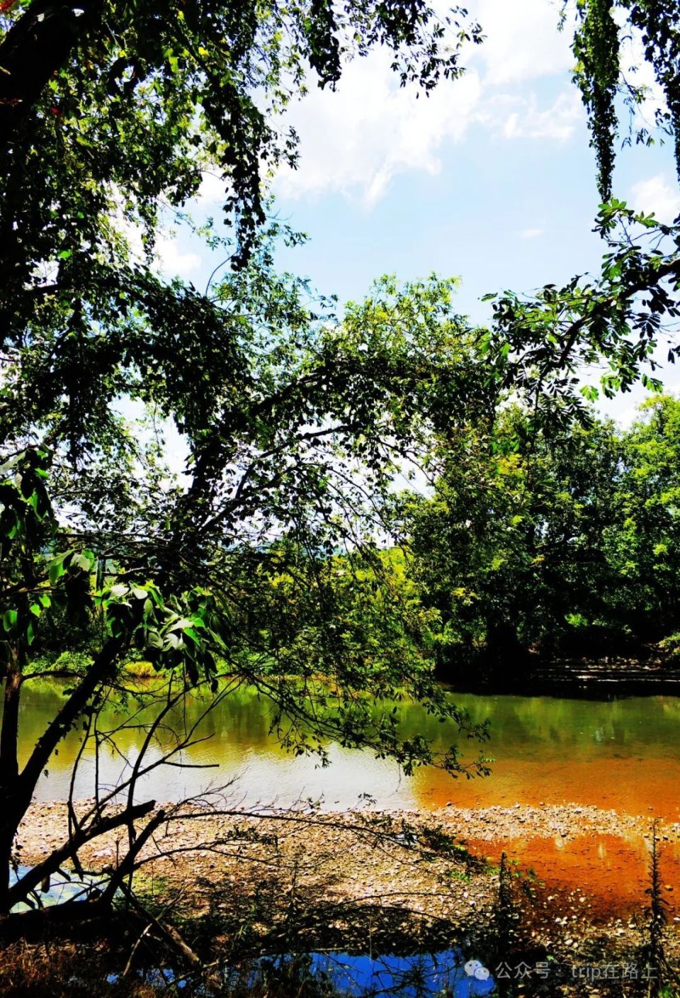 宁波版"绿野仙踪",太美了,在这里赏景,人生就不"卷"了