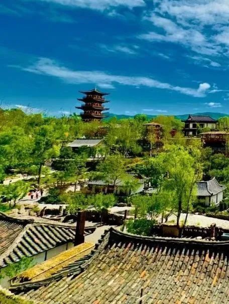 春游白山 奔赴诗和远方 | 老妈,跟我游白山