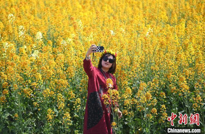 重庆潼南菜花节门票图片