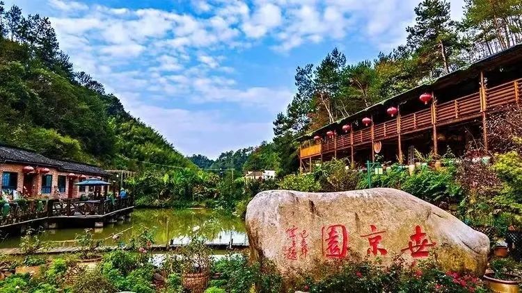 皖美夏日 | 百日百景大黄山——红杉林景点