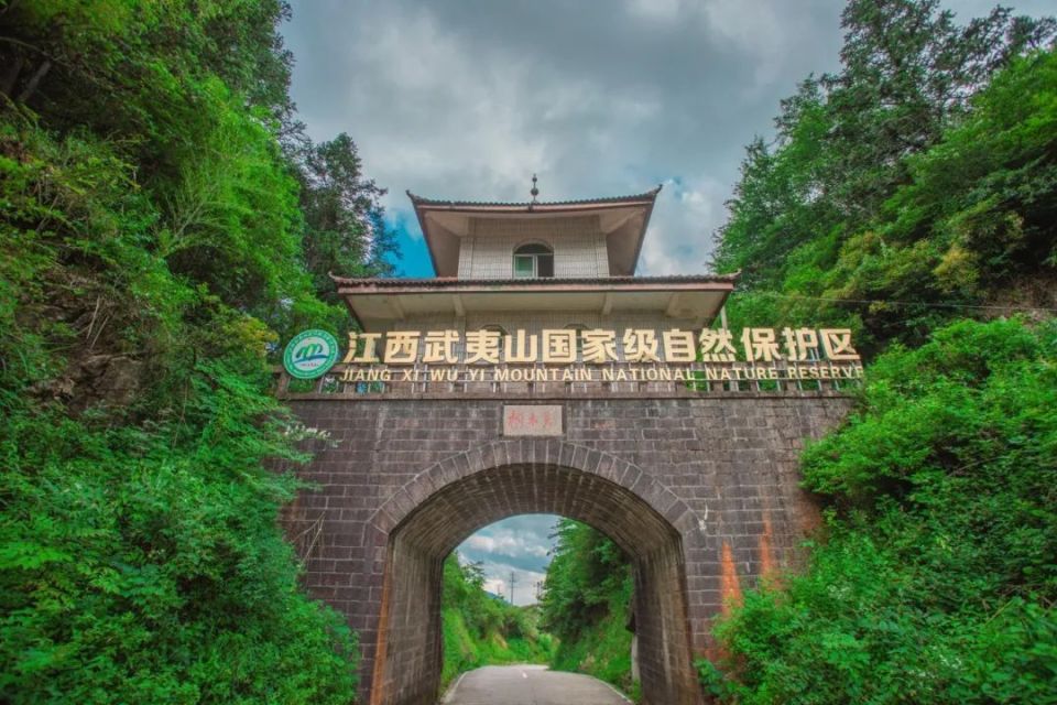 早年我是到过武夷山桐木关的.