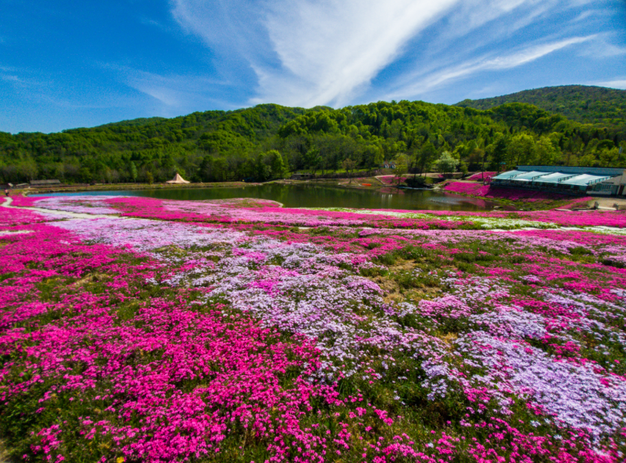 北镇闾阳百花谷图片