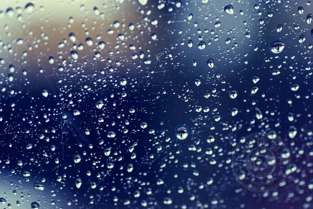 08paul van de velde窗边的对象如果透过窗户找不到合适的拍摄对象