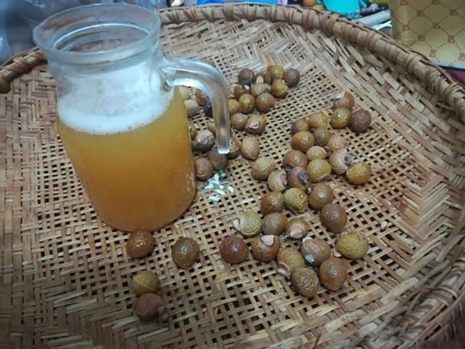 这野果叫"假龙眼",放温水里搓一搓就能当洗洁剂,可惜常烂一地没人要