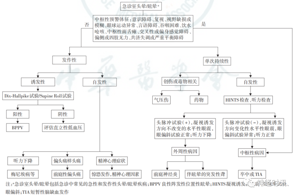 怎么确定是前庭性眩晕图片