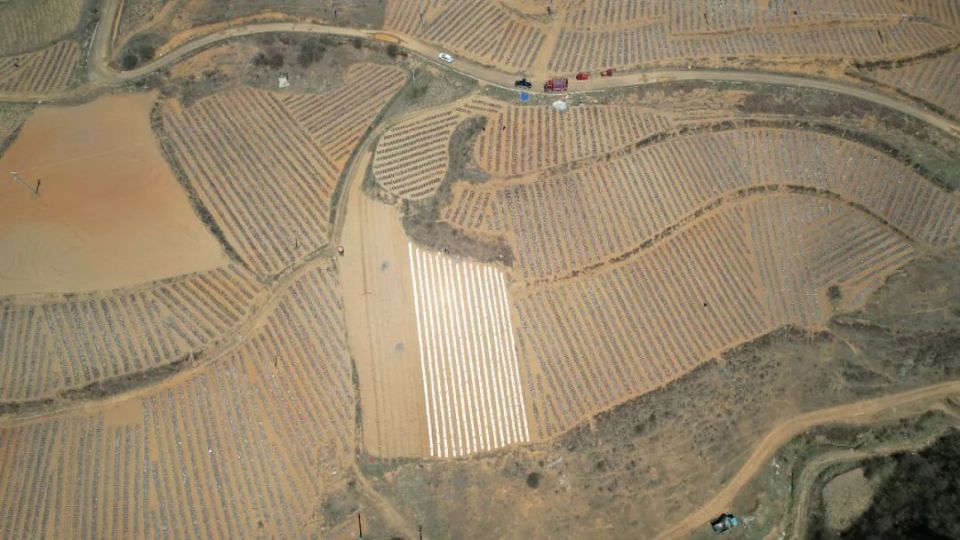 抓农时忙春耕 莲峰镇3万亩玉米播种进行时_腾讯新闻