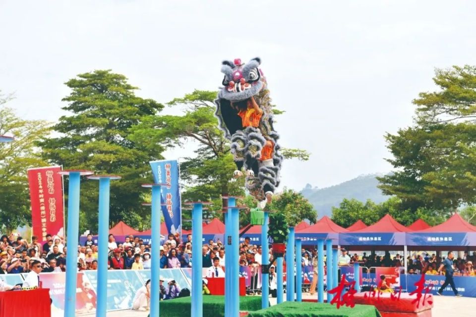 “南狮”过招 “狮王”笑傲 丨“狮舞岭南 梧现精彩”2024年岭南（梧州）狮王争霸赛侧记_腾讯新闻