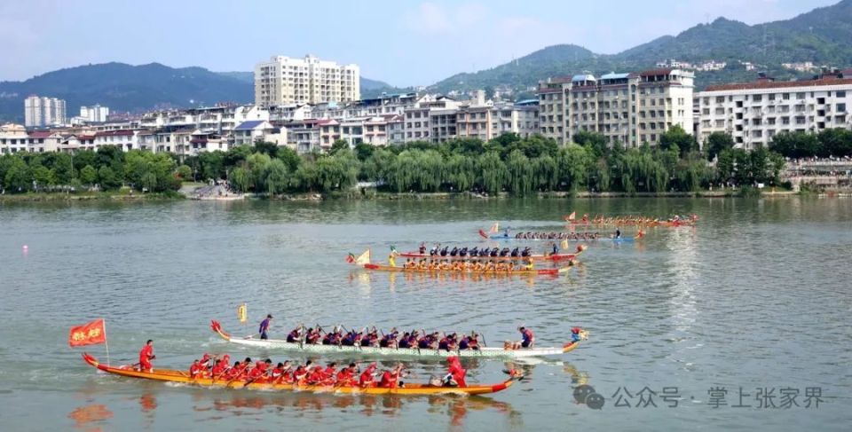 空壳树的陈家坪景点图片