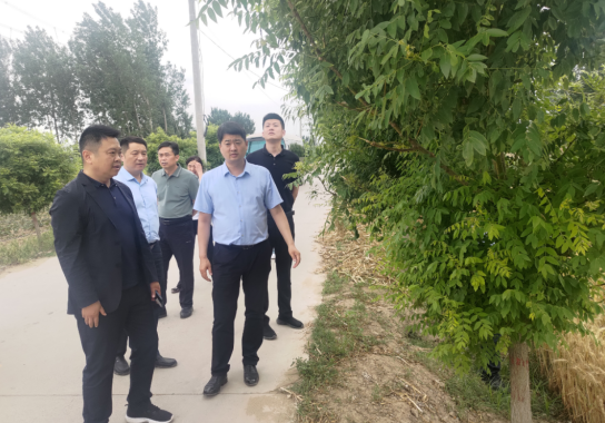 开封市鼓楼区委副书记,区长潘磊调研"三夏"生产和国土绿化工作_腾讯