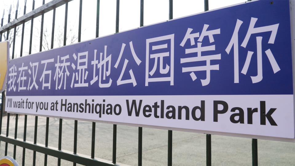 时隔四个月顺义区汉石桥湿地公园开园有了这些新变化