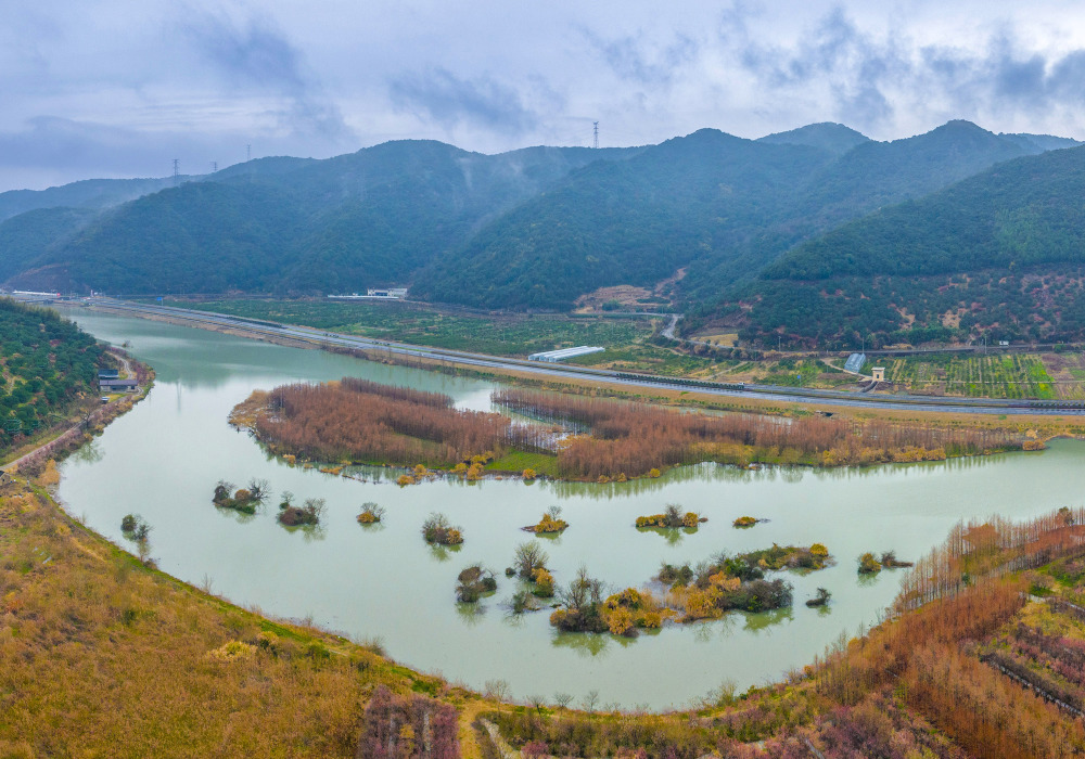 以上图片:2024年2月24日在浙江省宁波市宁海县胡陈乡戊己湿地公园拍摄
