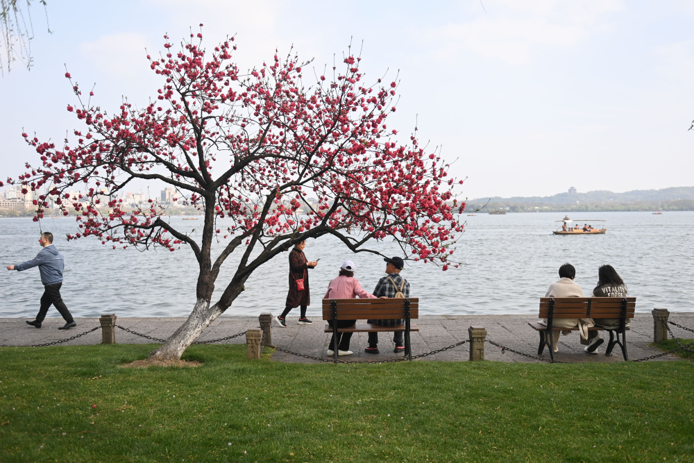 杭州西湖:桃红柳绿正当时