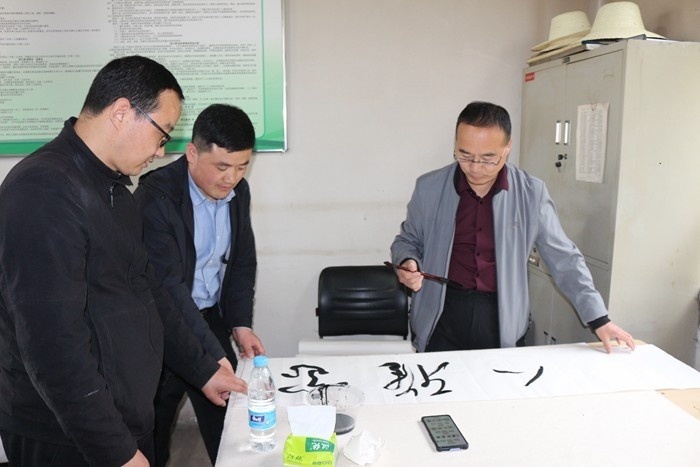 书法艺术进乡村笔墨飘香话振兴武山县书法家在沿安乡白山村开展书法进