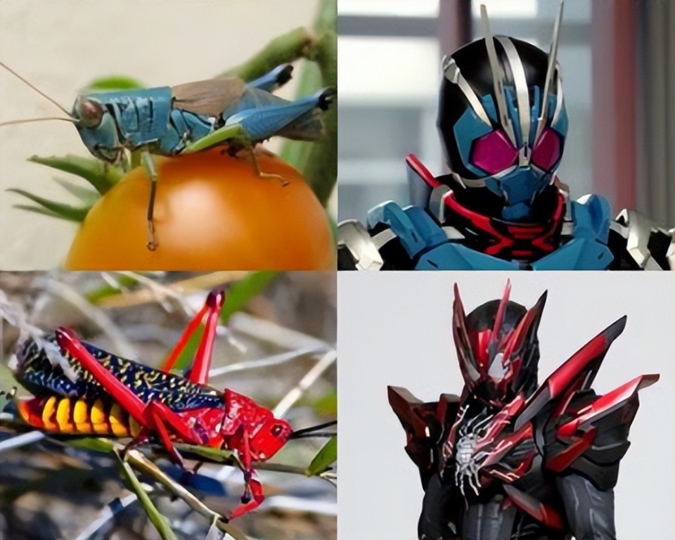 假面骑士01系列全形态原型对照图 没想到会有这么多蝗虫