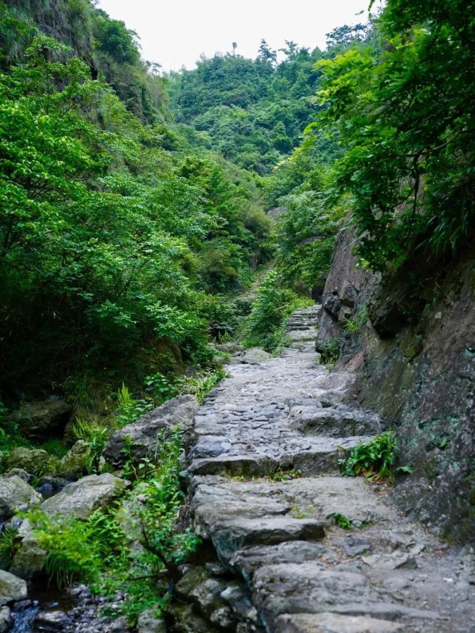 骑两轮的大宇景区由巨石嶙峋的雪窦山及历史悠久的雪窦岭古道组成,境