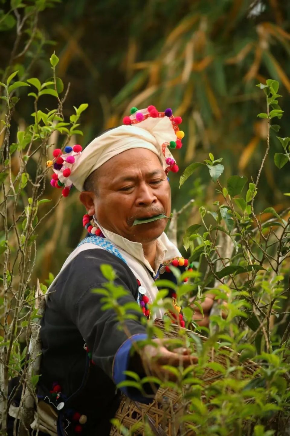 "玩转芒市"五一民族风情之德昂族风情大赏