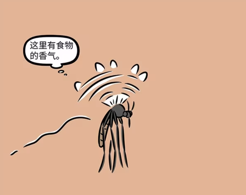 非人哉：蚊子吸食紫微大帝的血液，观音家成蚊子不夜城-古次元
