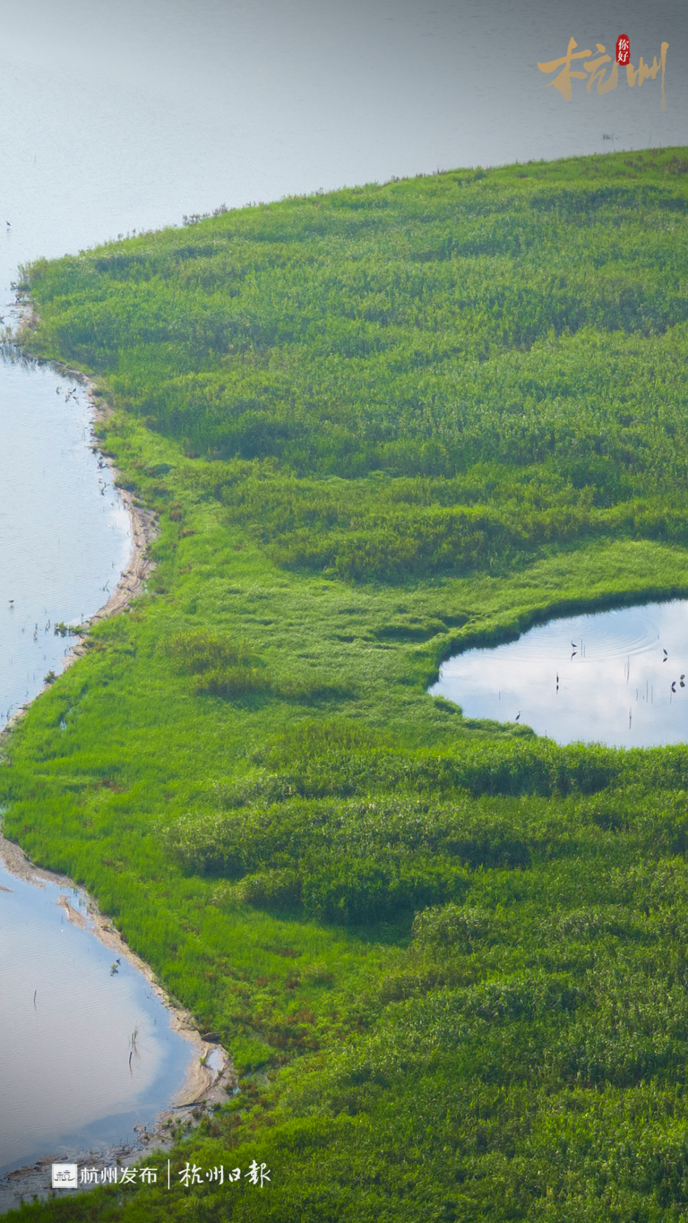 杭州超大湿地公园,先睹为快!绝美日出的最佳机位来了!
