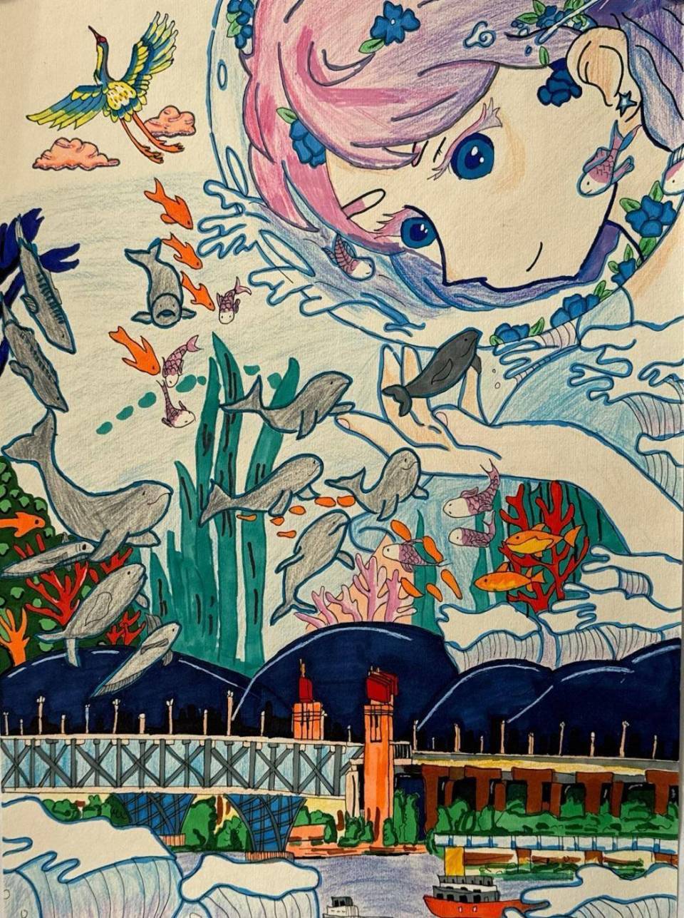 图片