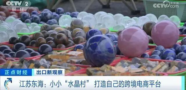 大樱桃树苗批发价格及图片