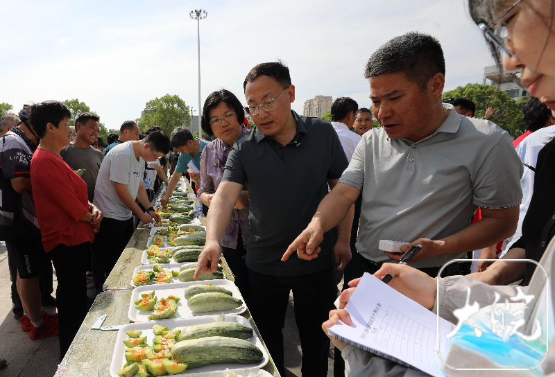 淮南市潘集区2024年酥瓜节开幕