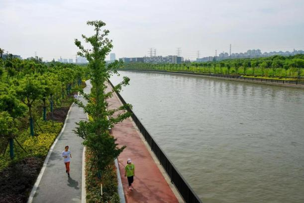 松江:多措并举强治理,清水绿岸焕新颜——淀浦河