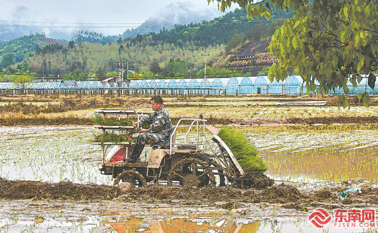 将乐县:种稻全程机械化 山垄田地苗青青_腾讯新闻