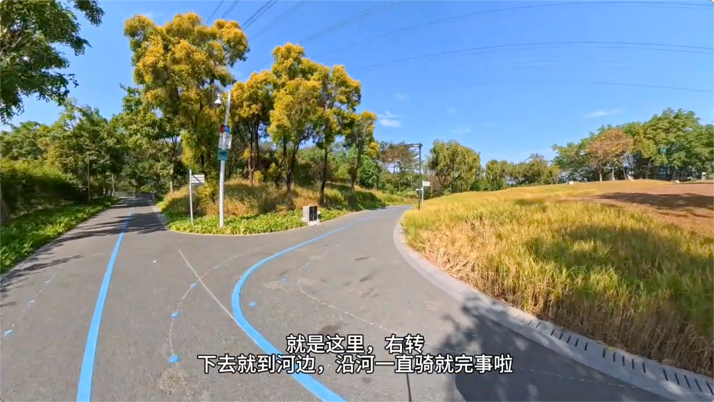龙岗河碧道起点-第二个路口右转下坡就到河边