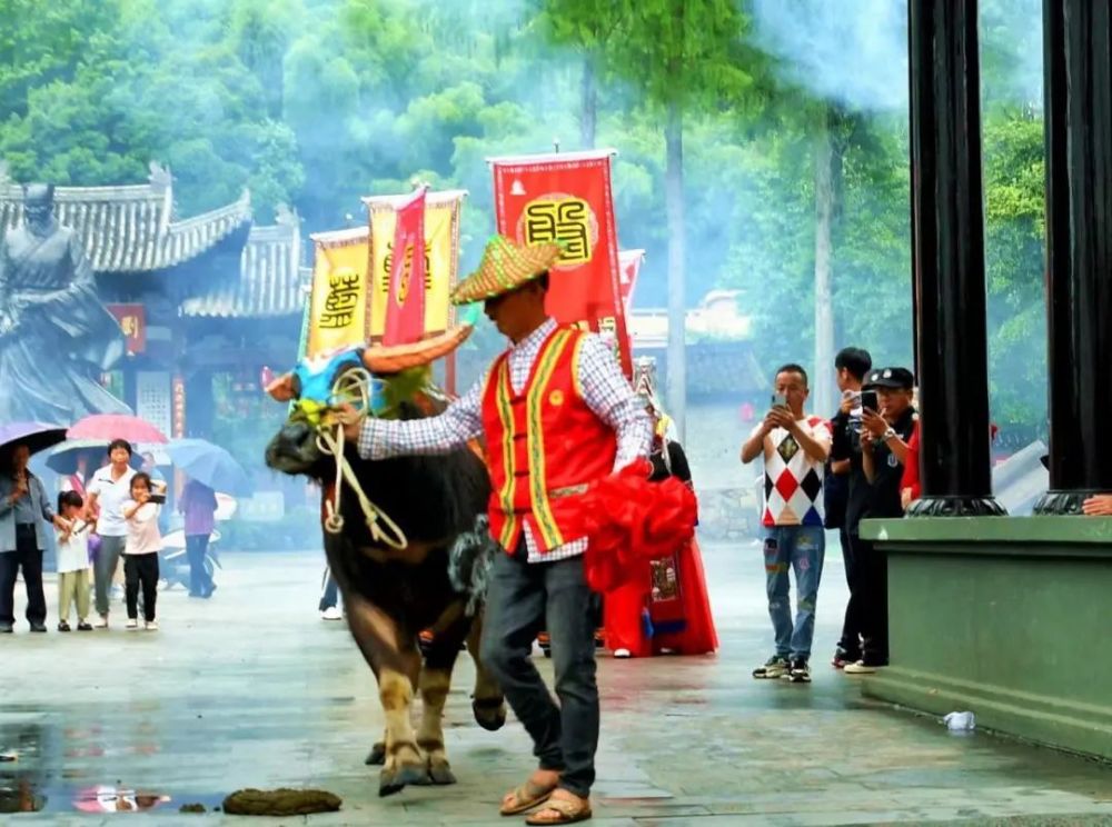 牛身上一側塗著畲族鳳凰圖騰,以祥雲為襯,一側塗著紅石榴,蘊含著民族