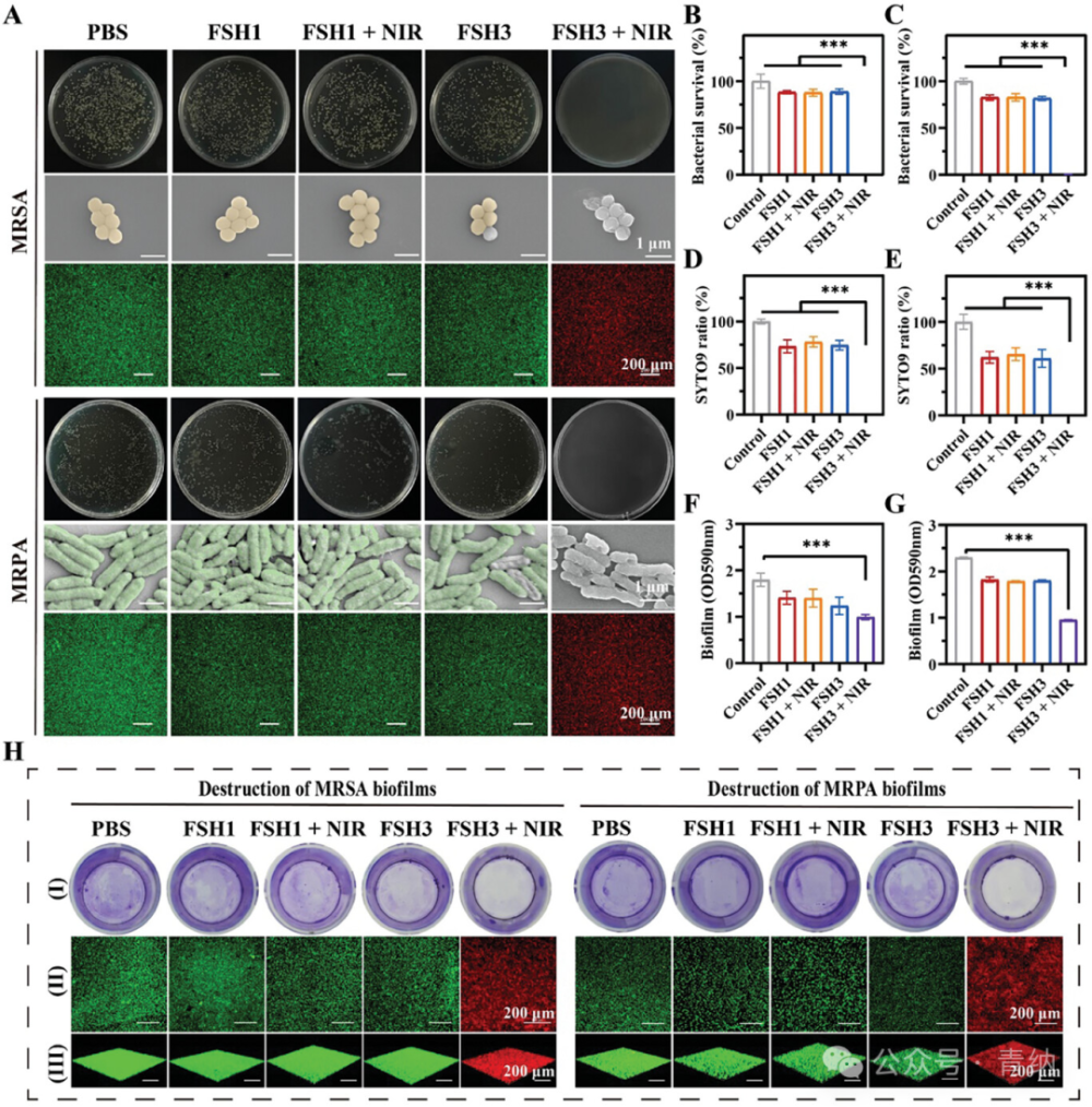 抗菌水凝胶怎么操作《Adv. Sci.》强黏附愈合紫草素水凝胶的糖尿病口腔溃疡治疗新方案！_https://www.jmylbn.com_新闻资讯_第7张