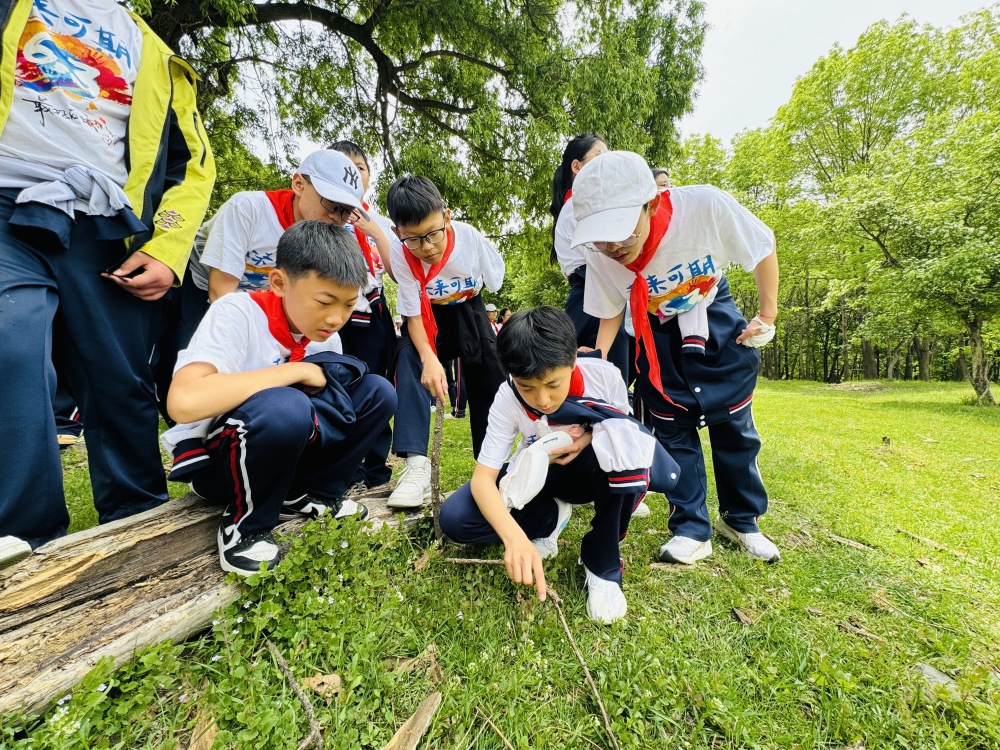 相亲 研学 团建……初夏的森工平山皇家鹿苑热闹非凡!