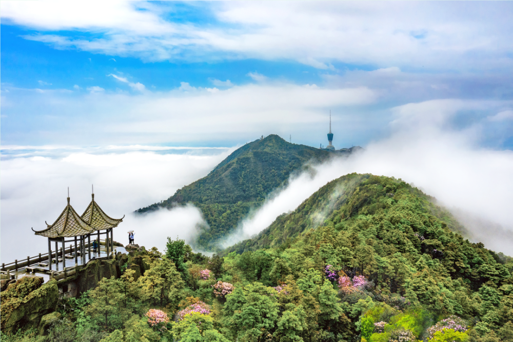 解锁梧桐山新玩法!