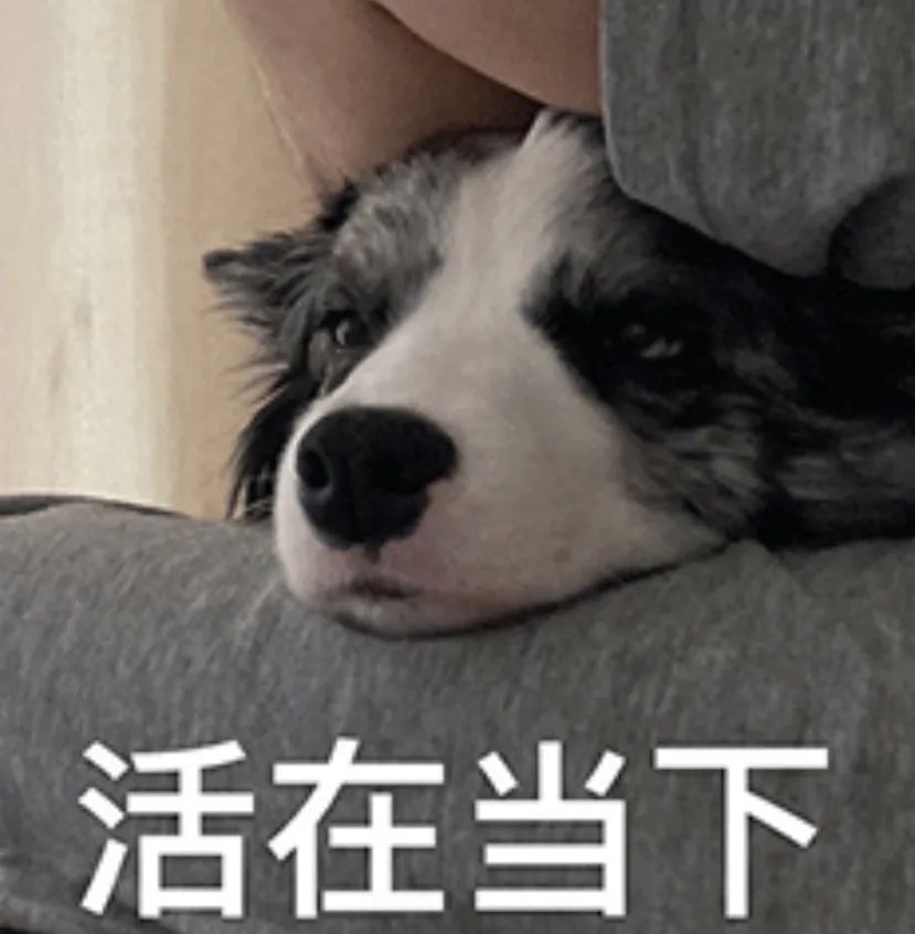 "昨天还和对象在一起,分开的第一天更难过了"