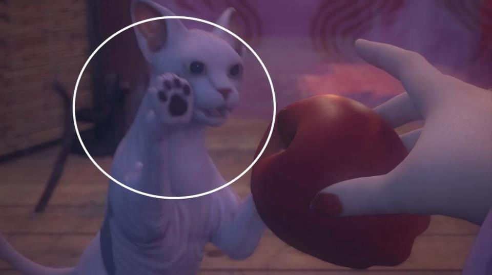 不良人：袁天罡如何戴面具？导演亲自解答，女帝的枚果猫竟然长膘