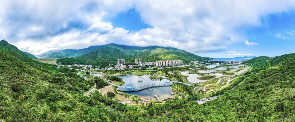 深圳大鹏新区2024年将奋力谱写现代化建设新篇章_腾讯新闻