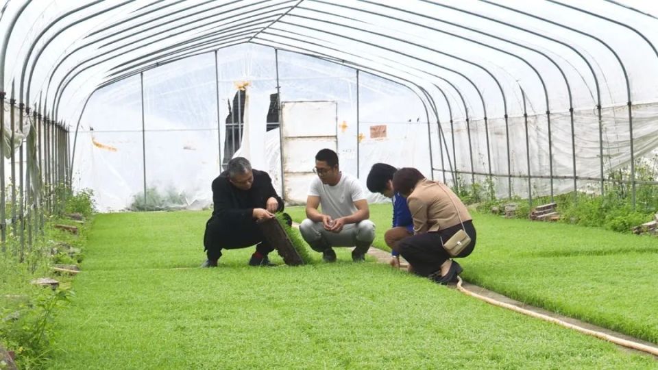 农技员田间地头出实招 指导粮农把秧苗炼好炼壮_腾讯新闻