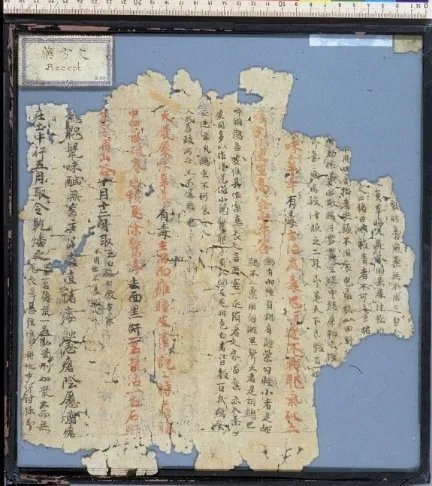 百草堪为药,旧经可复寻:王家葵教授《神农本草经笺注》出版