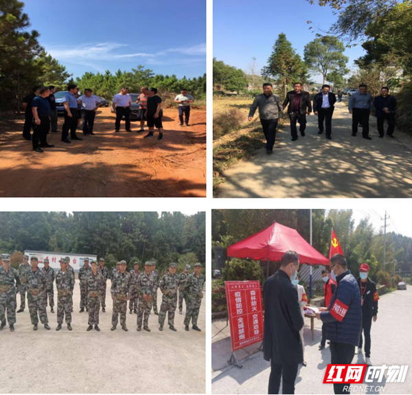 岳阳林长制"亮"示范|临湘市聂市镇:做好五篇文章 推动林长制落地见效
