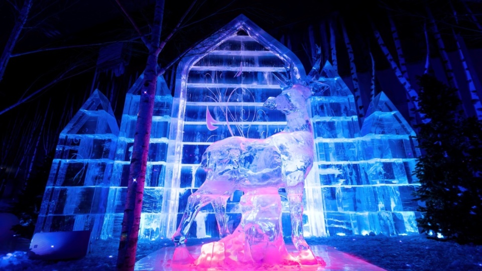 哈尔滨冰雪大世界梦幻冰雪馆:大学生和教师"冰雪专享"特惠来了!