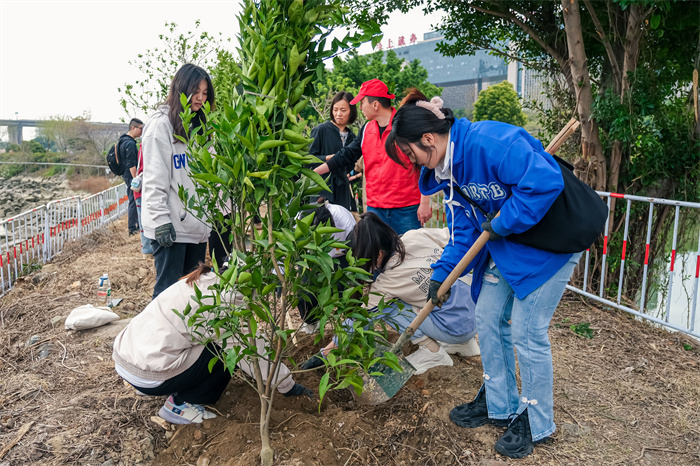 3月12日上午,在福州花海公园,桔手之劳 植得幸福植树节公益种植福桔