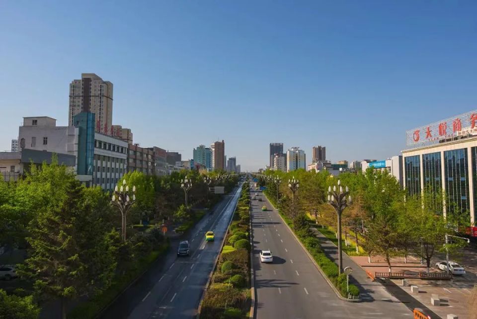 4亩义务植树新增造林2024年奎屯市将实施2024"绿色奎屯"行动一组数据