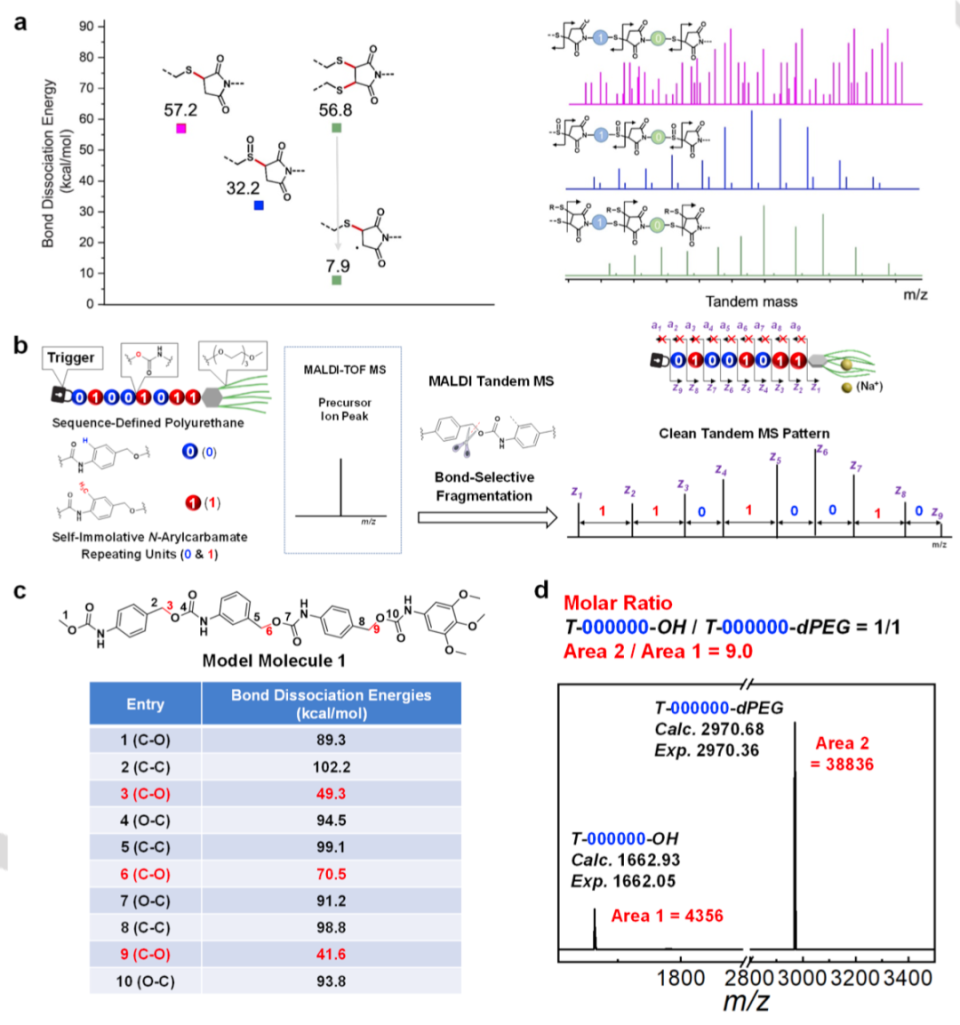 中国科学技术大学刘世勇教授Angew：精确序列定义的聚合物——从测序到生物功能_腾讯新闻