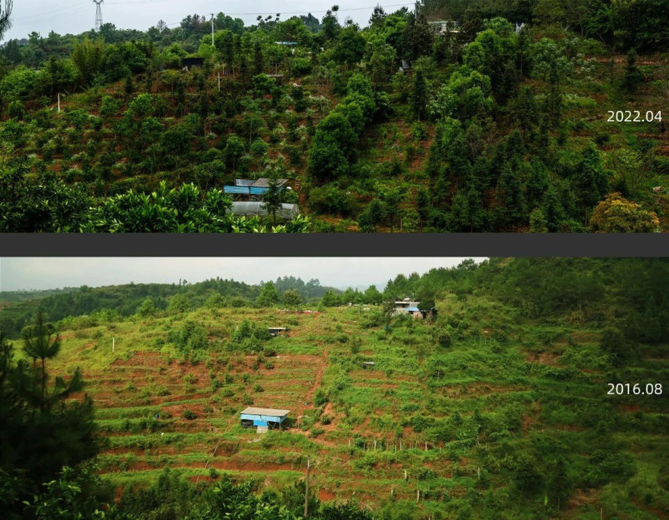 夫妻返乡种地七年又回到城市 遭遇了怎样的困境？