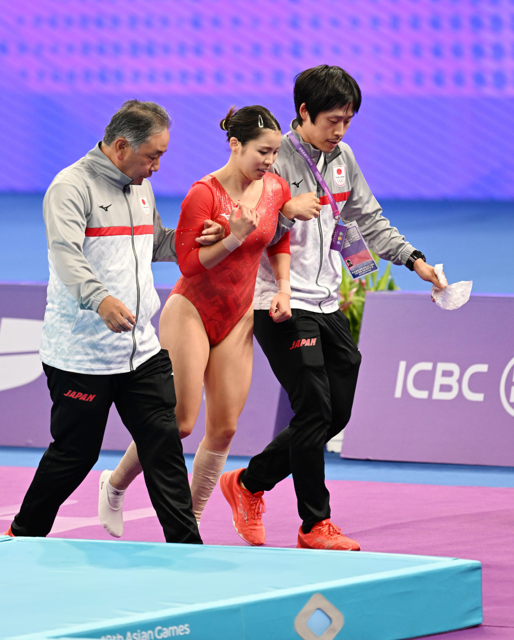 蹦床——女子决赛:中国队包揽金银牌(3)