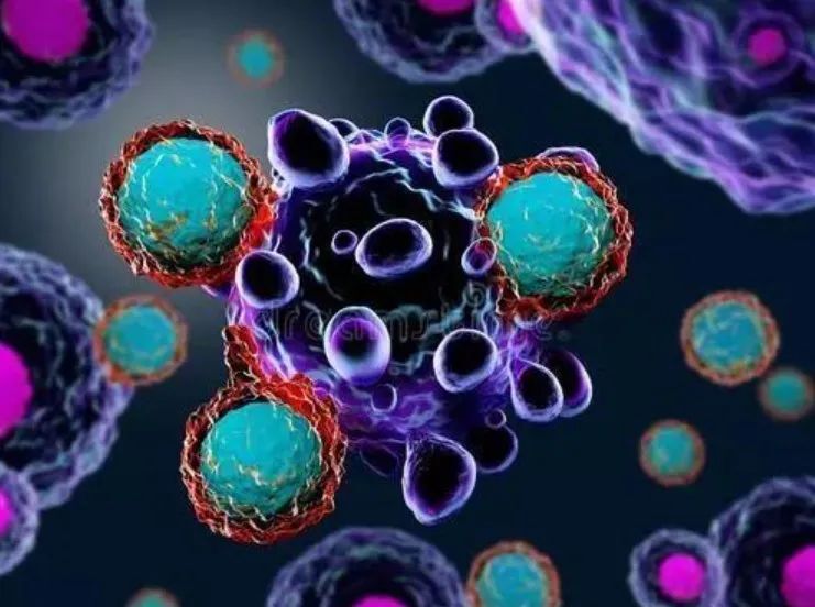 阎锡蕴院士团队揭示肿瘤相关巨噬细胞新亚型的作用及机制-腾讯新闻