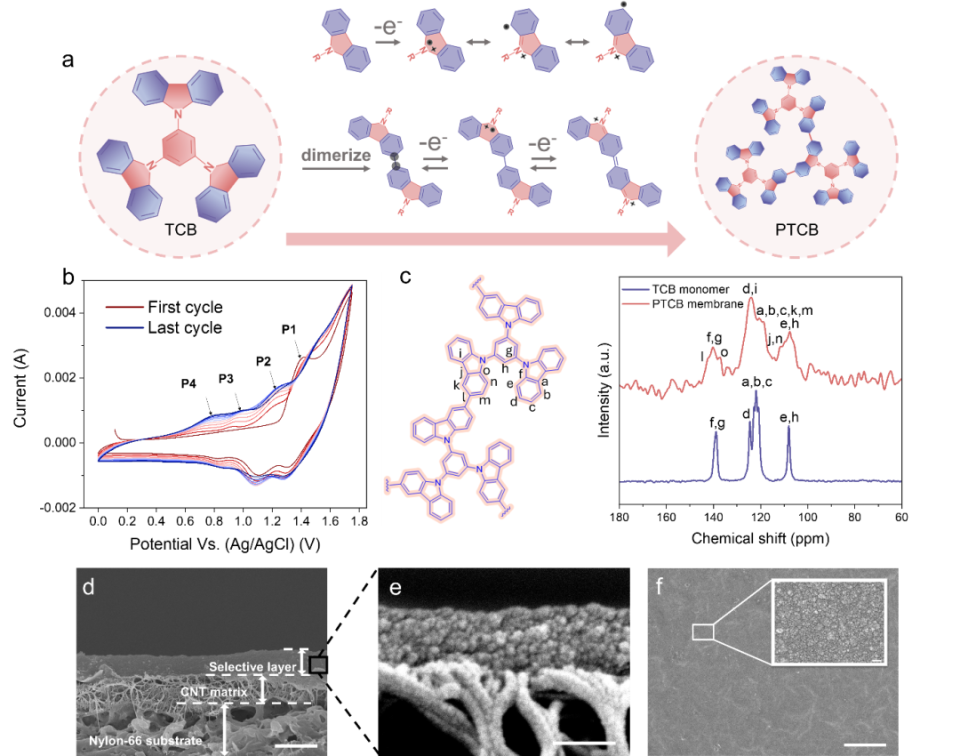 新加坡国立大学张岁等《AFM》:控制共轭微孔聚合物膜的微孔结构以实现高效的碳捕获_腾讯新闻