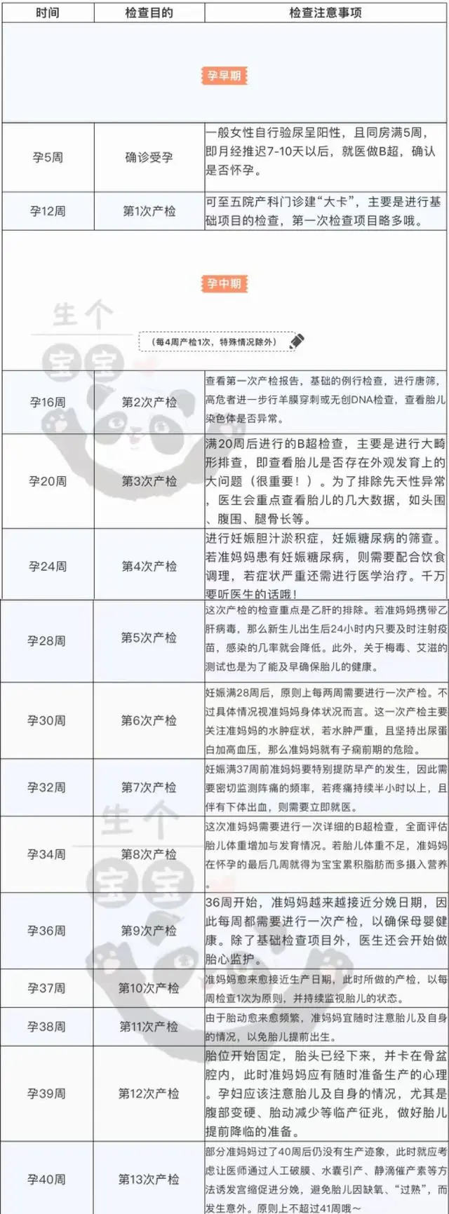 怎么可以错过（怀孕b超整蛊图）怀孕b超图片在线生成器 第6张