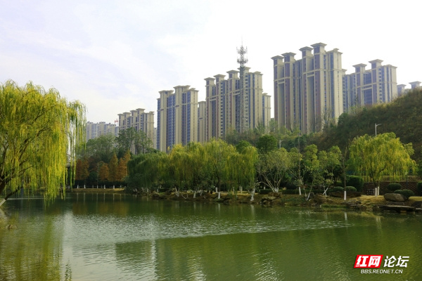 一起来看岳阳的王家河公园,两岸绿意盎然美如画