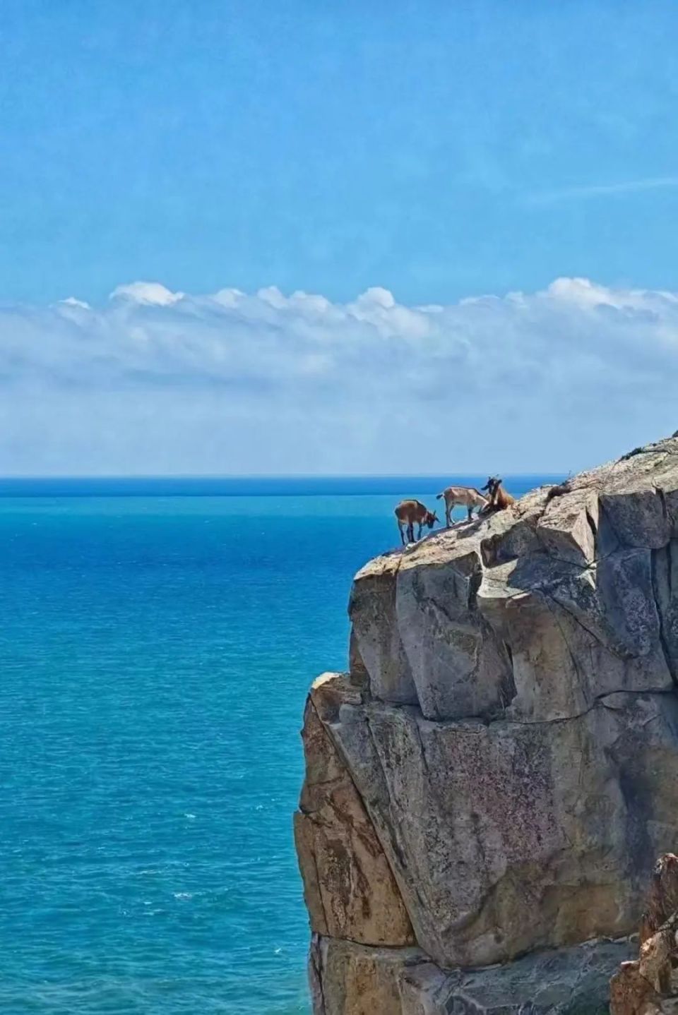 霞浦景区景点图片