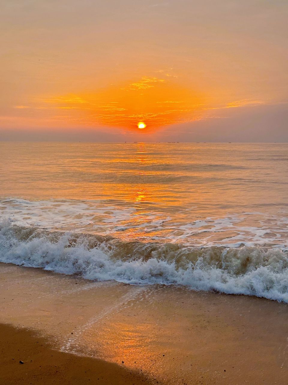 推荐去刘家湾,太公岛,蔡家滩,安家河口,任家台,张家台等赶海园 6>赶海